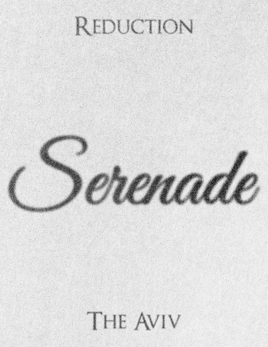 (0) The Aviv - Serenade - Reduction - Letter (Plain) [Trifold] copy 1.jpg