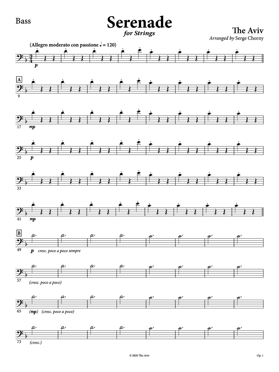 (5) The Aviv - Serenade - Bass - Concert copy 2.jpg