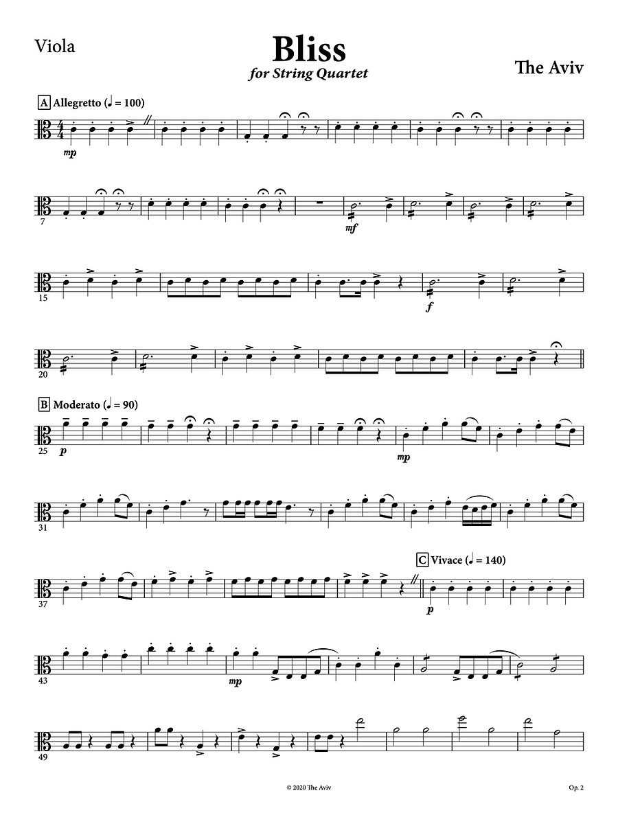 (3) The Aviv - Bliss - Viola - Concert copy 2.jpg
