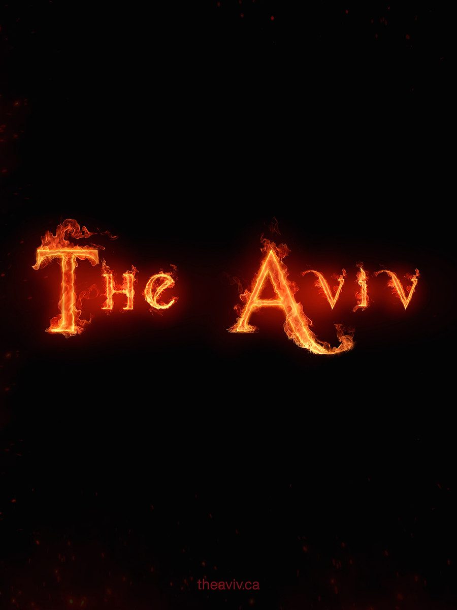 (1) The Aviv - Serenade - Melody - Concert copy 4.jpg