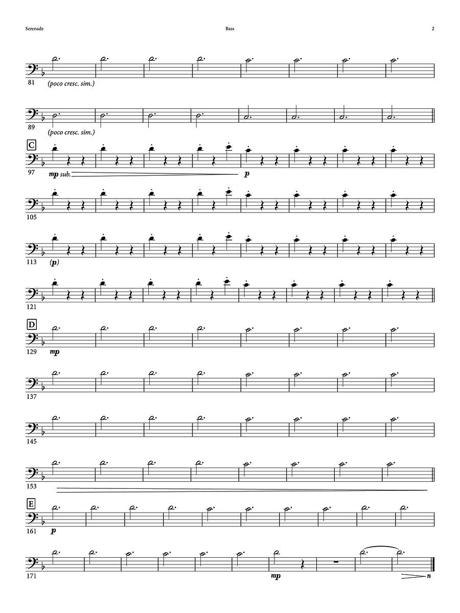 (5) The Aviv - Serenade - Bass - Concert copy 3.jpg